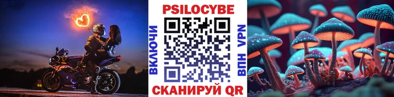 Псилоцибиновые грибы Cubensis  это Telegram  Алейск 
